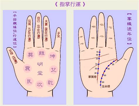 掌相分析|手相解析大全